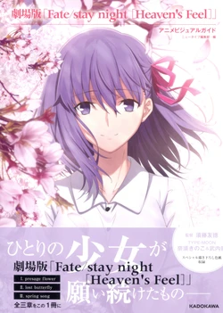 Fatestay night Heaven`s Feel Animation Visual Guide