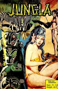 Jungla 23 - De schat van Stiller (Dutch)