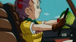 Bulma Collection (Dragon Ball: The Path to Power)
