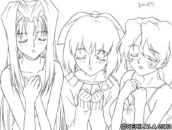 (18禁ゲームCG) 人妻姫倶楽部 (CDROM原画集&HP壁紙付き) (せ_き_ら_ら)