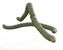 [The Benefactor] Worms of Pleasure