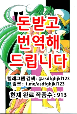 (C60) [Circle Taihei-Tengoku (Horikawa Gorou)] V (Choudenji Robo Combattler V) [Korean]