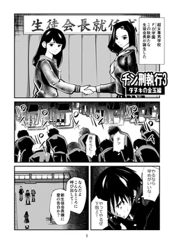 [Pecan (Makunouchi)] Chinkei Shikkou 3 ~Tanuki no Kintama Hen~