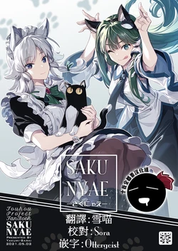 [Yakumi Sarai (Zounose)] SAKUNYAE (Touhou Project) [Chinese] [十的我全都要汉化组]