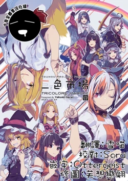 (Shuuki Reitaisai 8) [Yakumi Sarai (Zounose)] Sangairo  Ichiba - Tricolore Marché | 三色市場 (Touhou Project) [Chinese] [十的我全都要汉化组]