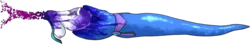 [Blue Arctic Diode] Graveyard Executioner 7/11 (Unsorted)
