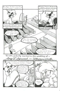 [Eric W. Schwartz] Amy's Wedding