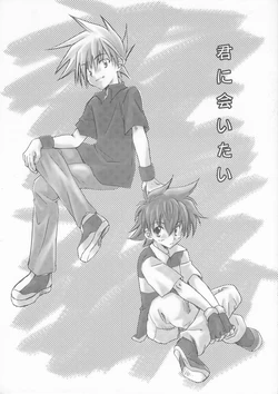 (C71) [Shigesato no Heya (Aida Hibari)] Kimi ni Aitai (Pokémon)