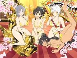 Shinobi Master Senran Kagura New Link Chara Artwork HD (Asset 2023)