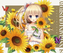 Sunnyrain Lovestory Offcial Fan Book