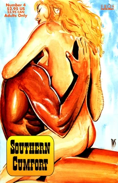 [Dan Schaefer] Southern Cumfort #4 [english]