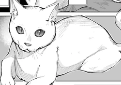 [ちゃずー]装模作样（我是你可爱的小猫）