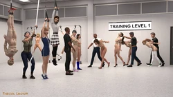 (TheCol Lector) Training