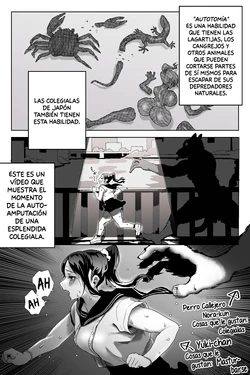 [Tansan Tsuyo] Self-amputation of Schoolgirls in Japan | Auto-amputación de las Colegialas de Japón