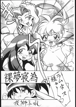 Hadaka Yume ne Tane (VS Knight Lamune &40 Fire)