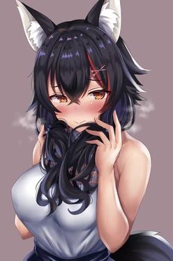 Ookami Mio and Solo Art _ Danbooru