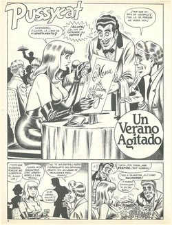 Pussycat - Un Verano Agitado [Spanish]