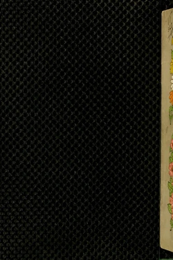 [William Alexander Thompson] How to paint flowers, scrolls and fancy borders for up-to-date show cards, posters, display signs and decorating [English]
