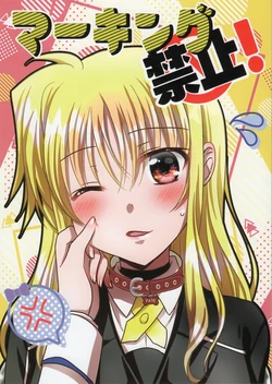 (Lyrical Magical 32) [Ameiro (Nanashiki)] Marking Kinshi! | 禁止标记! (Mahou Shoujo Lyrical Nanoha) [Chinese] [透明声彩汉化组]