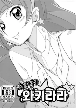 (C89) [Yowatari Kouba (Jet Yowatari)] Asonde Wakirara | 놀아줘 와키라라 (Go! Princess PreCure) [Korean]