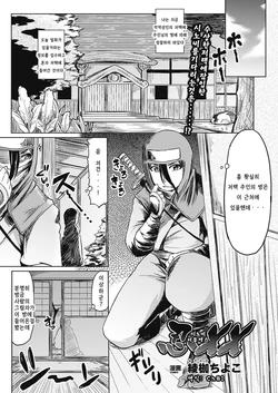 [Ayakase Chiyoko] Shinobi XX | 시노비 더블엑스 (2D Dream Magazine 2012-12 Vol. 67) [Korean] [Ch81] [Digital]