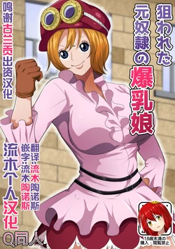 [Q Doujin] Nerawareta Moto Dorei no Bakunyuu Musume (One Piece) [Chinese] [流木个人汉化]