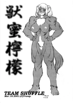 (SC11) [TEAM SHUFFLE (Trump)] Jumitsu Lemon