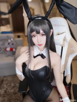 [腐团儿Ikaros] 兔女郎合集