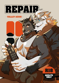 [bansky5057]valley aeshi REPAIR[chinese]