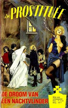 De Prostituee 31 - De droom van een nachtvlinder (Dutch)