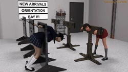 (TheCol  Lector) Orientation
