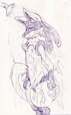 Lucario Collection