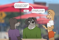 [Zaush] Catching Up French