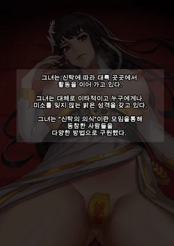 19-5월 신탁의 무녀 에디션[sp] 7$(DNF巫女)