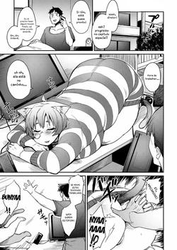 [Fukumaaya] Megamori! Melonbooks 4P leaflet [Portuguese-BR] [Kuri_Scans]