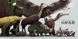 quadrupedal birds