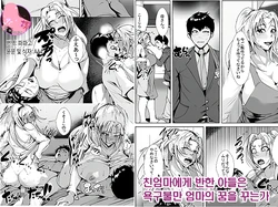 [AKYS Honpo] Nikushin ni Horeteiru Musuko wa Yokkyuu Fuman no Haha no Yume o Miru ka | 친엄마에게 반한 아들은 욕구불만 엄마의 꿈을 꾸는가 [Korean] [팀 마스터]