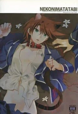 (Stand Up! 9) [4DIP (Tarte)] NEKONIMATATABI (Cardfight!! Vanguard)