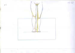 Wakfu episode 40, The Voice Thief, Keyframes