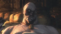 [WitcherRes] The Collector (The Witcher)