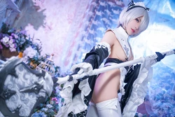 虎森森 - 2B女仆