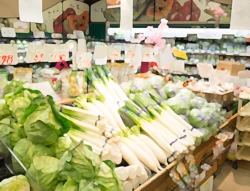 [Haitoku Dou] Kokuhaku Game + After