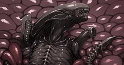 [Hitokuirou] Xenomorph Tentacle Rape