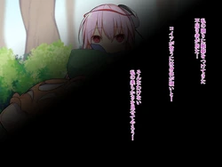 [Takuan-ya] Touhou Ecchi Arekore R2