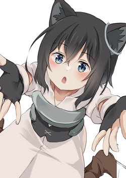 Pixiv&gelbooru——Non-H collections 46
