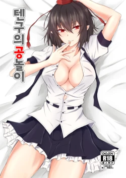 [pikuchi-ya (Piro)] Tengu no Tama Asobi | 텐구의 공놀이 (Touhou Project) [Korean] [Digital]