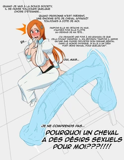 [MaruZyruKun] Orihime (Bleach)  [French]