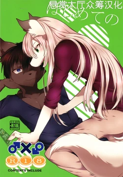 (C89) [first (Ruri Tsubame)]  Hajimete no  [Chinese] [悬赏大厅×真不可视汉化组]