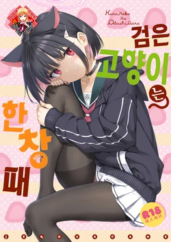 (C101) [Jenova Cake (Takayaki)] Kuroneko wa Otoshigoro | 검은 고양이는 한창때 (Blue Archive) [Korean] [Team Edge]