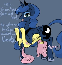 MLP Belly Riding Pics